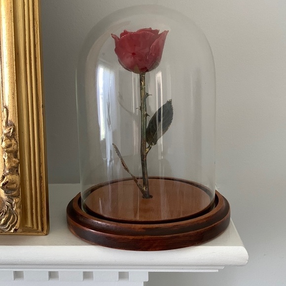 Beauty and the beast rose in glass dome collectible home decor Forever Lacquered - Picture 1 of 15
